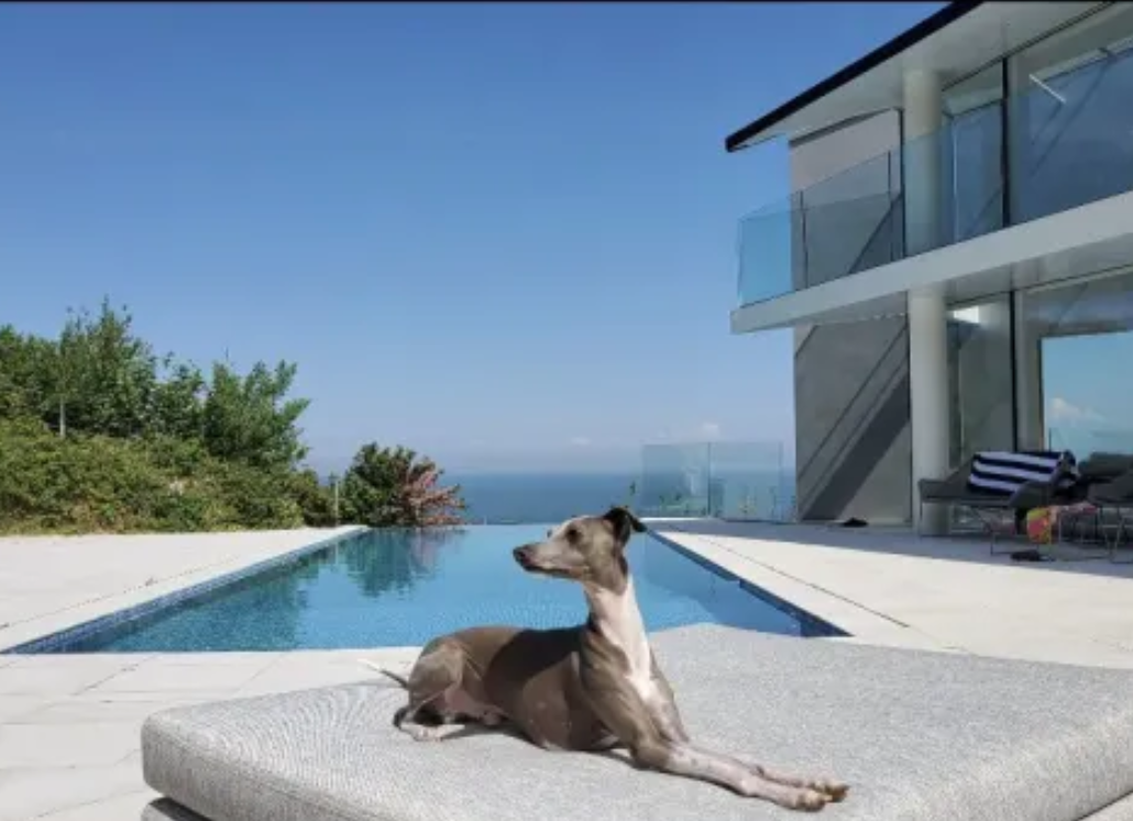 A wonderful luxurious home full of love and life where our animals are family.